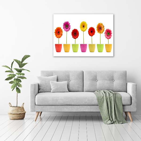 Glasbild Bunte Gerbera