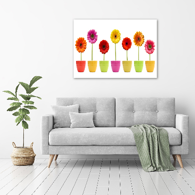 Glasbild Bunte Gerbera