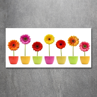 Glasbild Bunte Gerbera