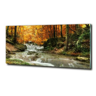 Glasbild Wasserfall im Wald