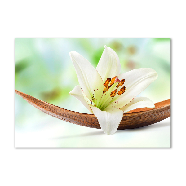 Glasbild Lilie