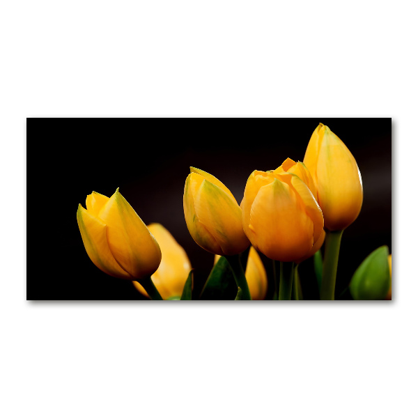 Bild auf glas Gelbe Tulpen