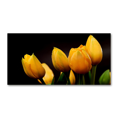 Bild auf glas Gelbe Tulpen