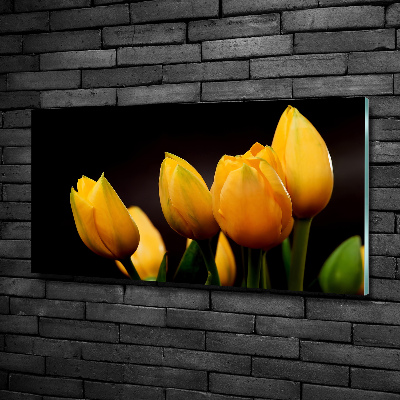 Bild auf glas Gelbe Tulpen