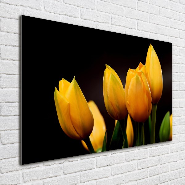 Bild auf glas Gelbe Tulpen