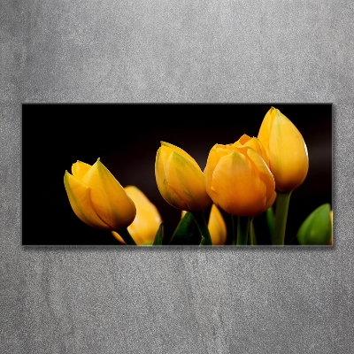 Bild auf glas Gelbe Tulpen