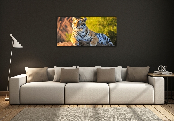 Foto glasbild Porträt eines Tigers