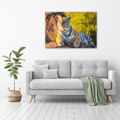 Foto glasbild Porträt eines Tigers