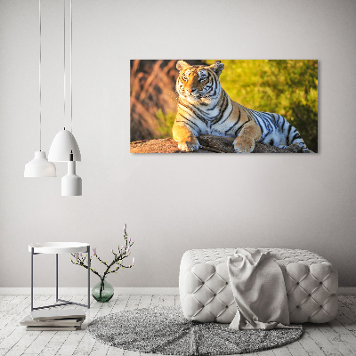 Foto glasbild Porträt eines Tigers