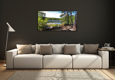 Foto glasbild Waldpanorama