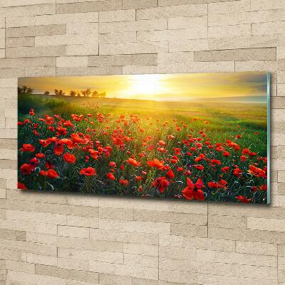 Foto glasbild Mohnfeld