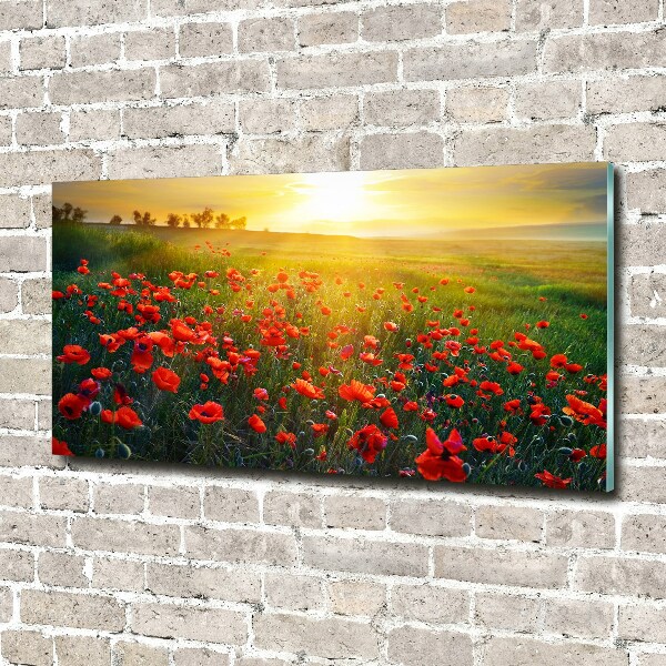 Foto glasbild Mohnfeld