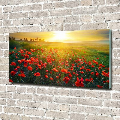 Foto glasbild Mohnfeld