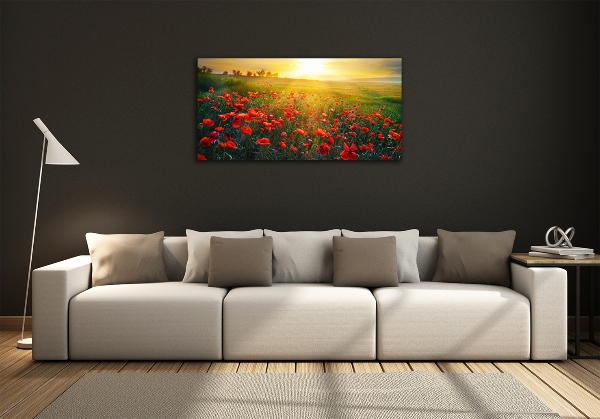 Foto glasbild Mohnfeld