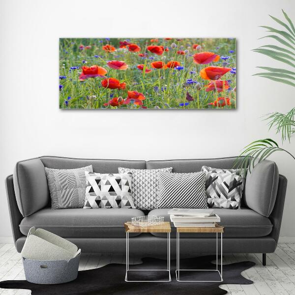 Foto glasbild Wildblumen