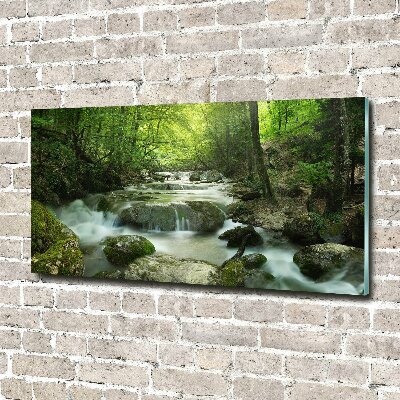 Foto glasbild Wasserfall im Wald