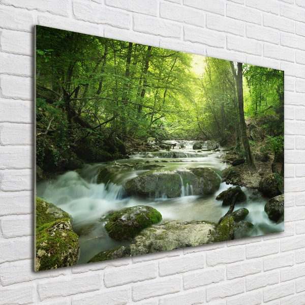 Foto glasbild Wasserfall im Wald
