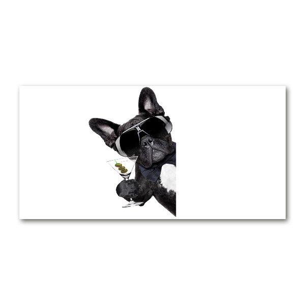 Bild auf glas Martini Dog