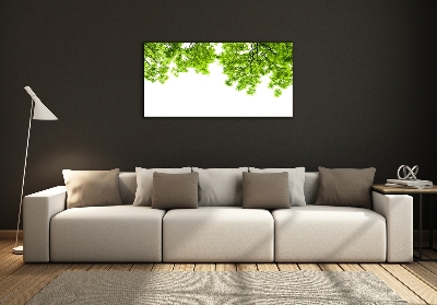 Glasbild Eichenblätter