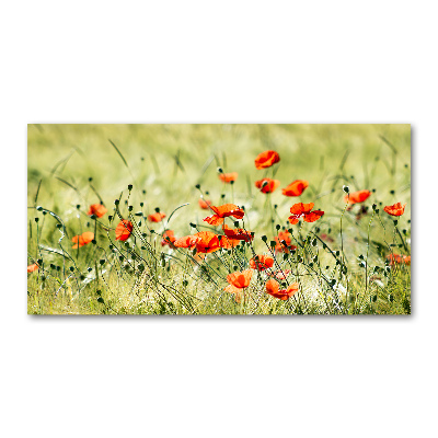 Foto glasbild Mohnblumen