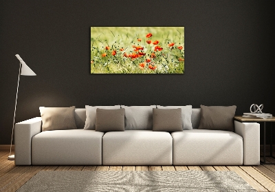 Foto glasbild Mohnblumen