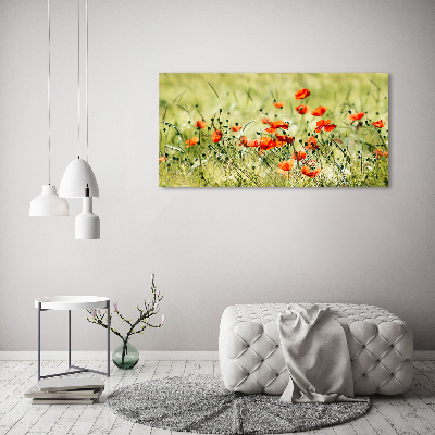 Foto glasbild Mohnblumen