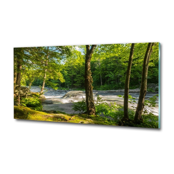 Foto glasbild Fluss im Wald