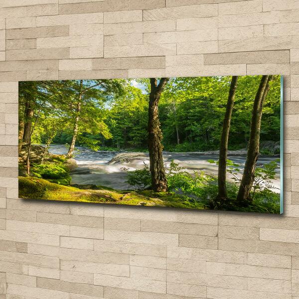 Foto glasbild Fluss im Wald