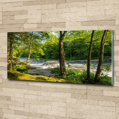 Foto glasbild Fluss im Wald