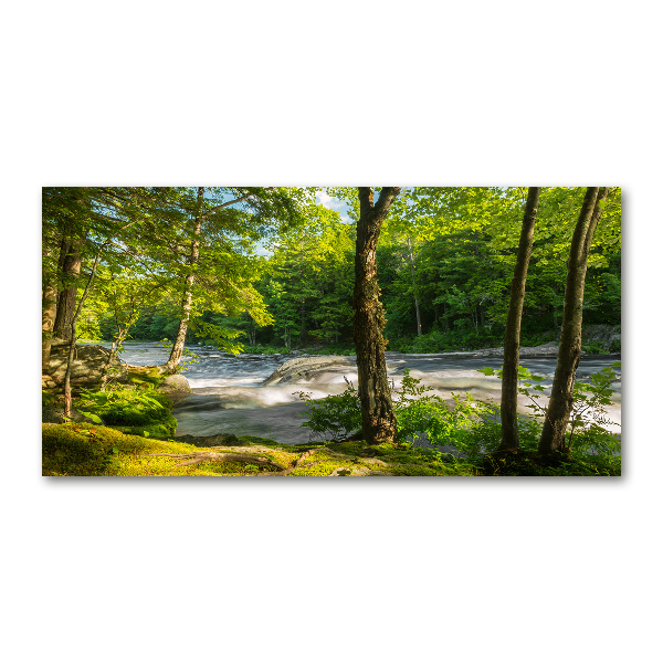 Foto glasbild Fluss im Wald