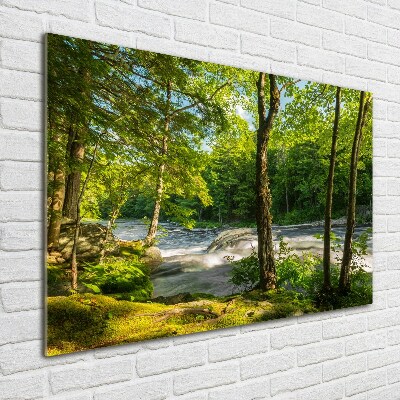 Foto glasbild Fluss im Wald