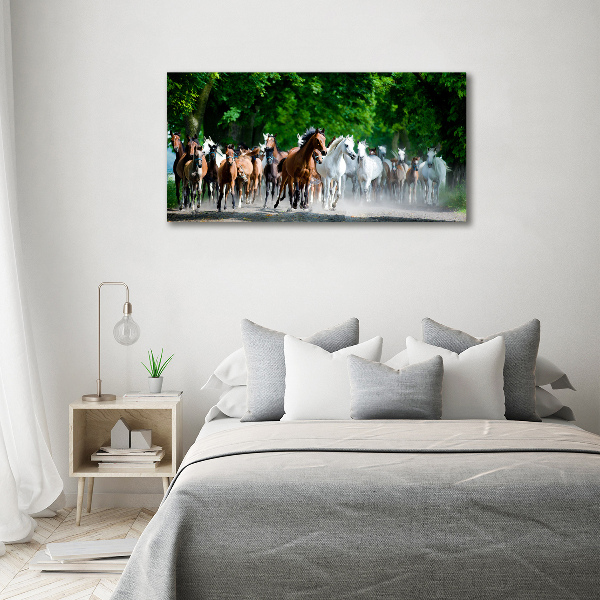 Foto glasbild Pferde im Galopp