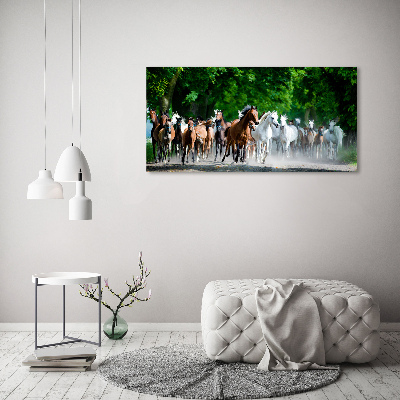 Foto glasbild Pferde im Galopp