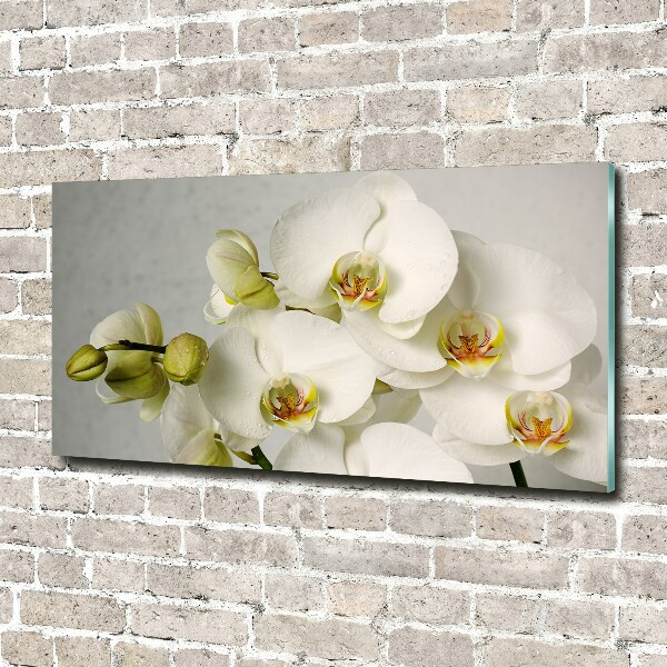 Glasbild Weiße Orchidee
