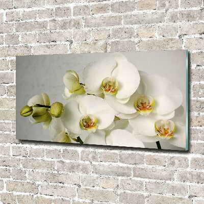 Glasbild Weiße Orchidee