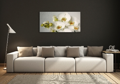 Glasbild Weiße Orchidee