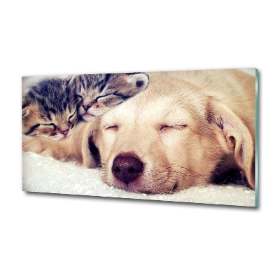 Bild auf glas Welpen und Katzen