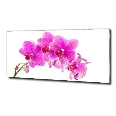 Glasbild Rosa Orchidee