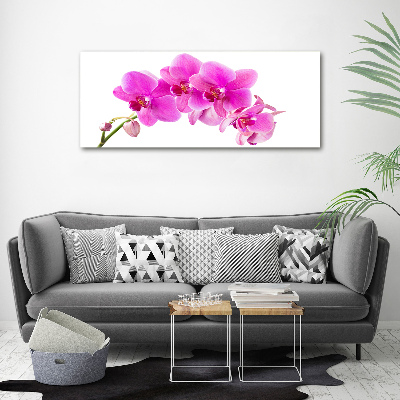Glasbild Rosa Orchidee