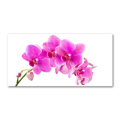 Glasbild Rosa Orchidee