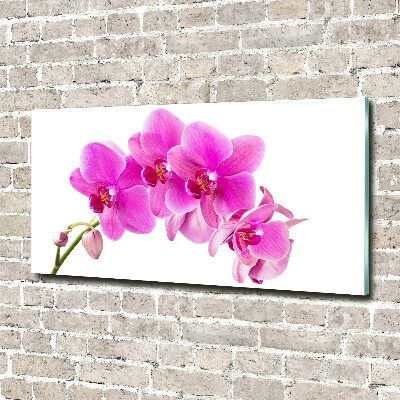 Glasbild Rosa Orchidee