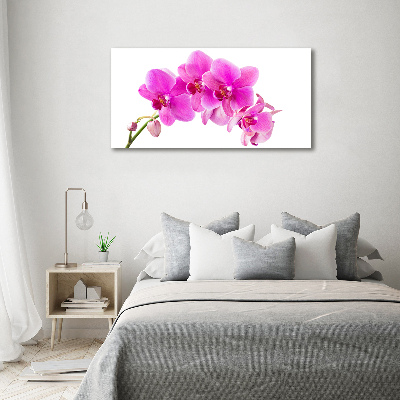 Glasbild Rosa Orchidee