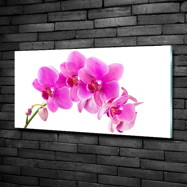 Glasbild Rosa Orchidee