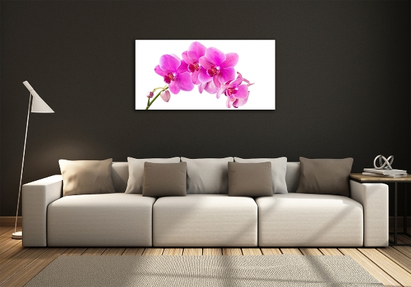Glasbild Rosa Orchidee
