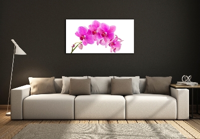 Glasbild Rosa Orchidee