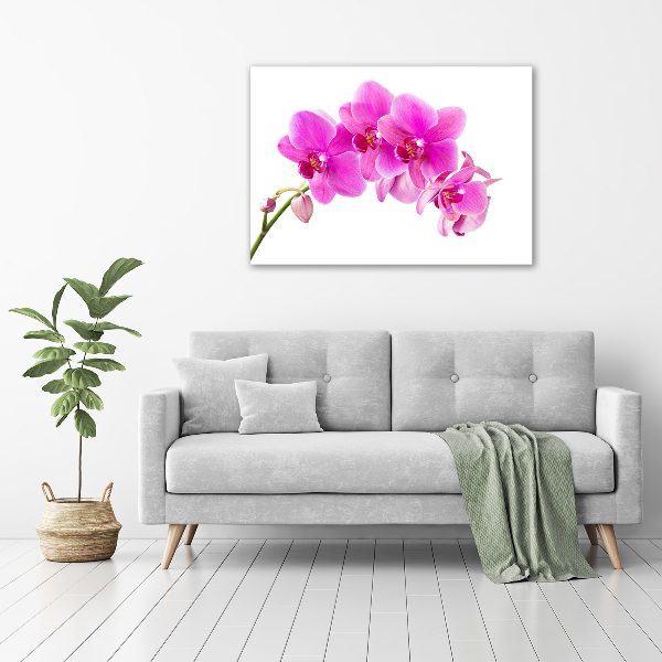 Glasbild Rosa Orchidee