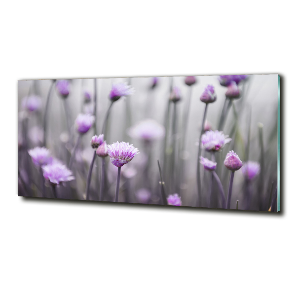 Glasbild Schnittlauchblüten