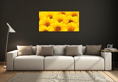 Foto glasbild Sonnenblumen