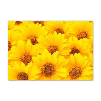 Foto glasbild Sonnenblumen