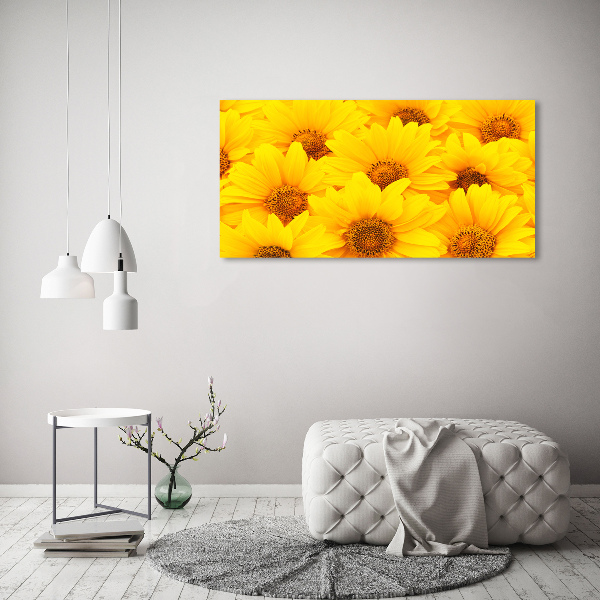 Foto glasbild Sonnenblumen